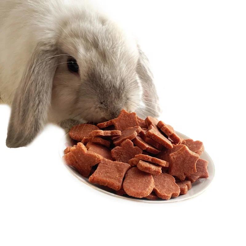 2022 Sell Rabbit Guinea Pig Hamster Chinchilla Sugar Glider Snacks Hedgehog food rabbit chew toys hamster guinea pig  treat food