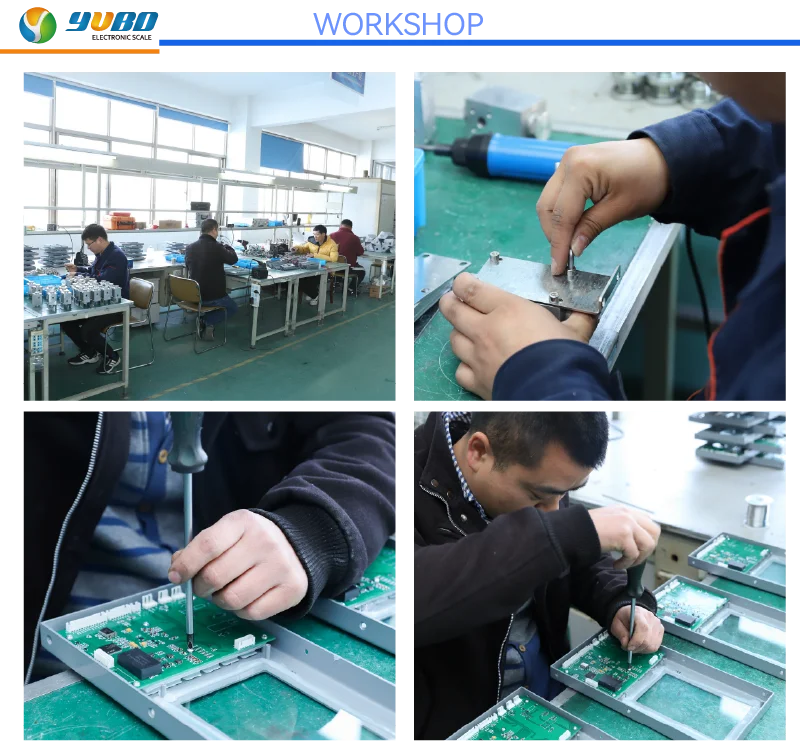 Crane scale workshop