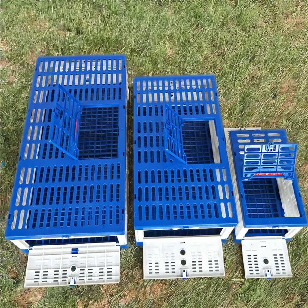 Portable Foldable Pigeon Transport Crate Plastic and Wood Bird Training Box with Button Closure for Pigeon Breeding Training