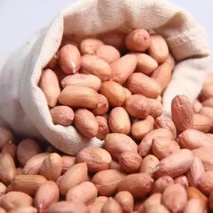 Good Quality High Quality Bold Long Groundnut Kernels Raw Peanut Kernels Without Shell peanut for animal feed