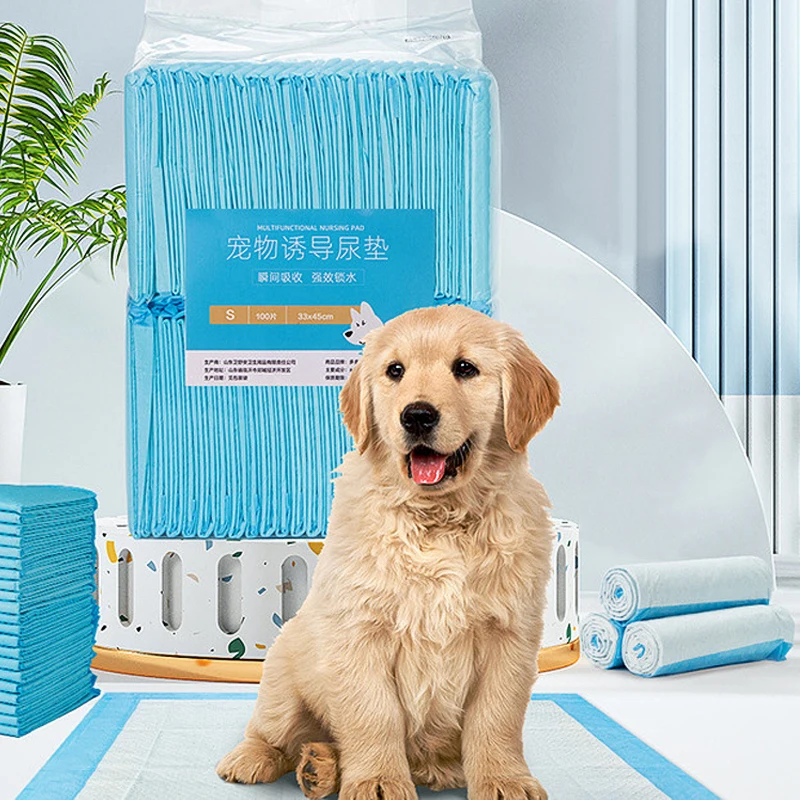 china biodegradable disposable pet toilet diaper potty training pads waterproof for dogs and puppy