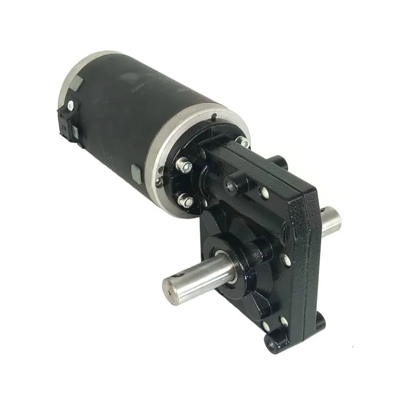 350W 200W Dc Gear Motor 200Rpm 12V 24V Double Shaft 300W Dc Worm Gearbox Motor