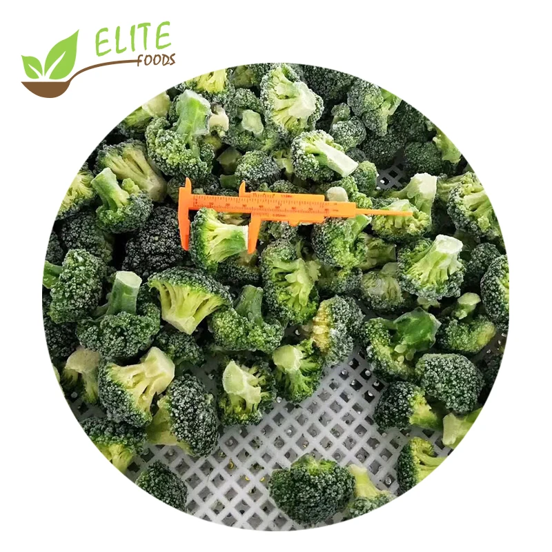 IQF frozen Broccoli Cuts Steam fresh Broccoli Cuts Frozen Vegetables  good price Supplier manufacture online