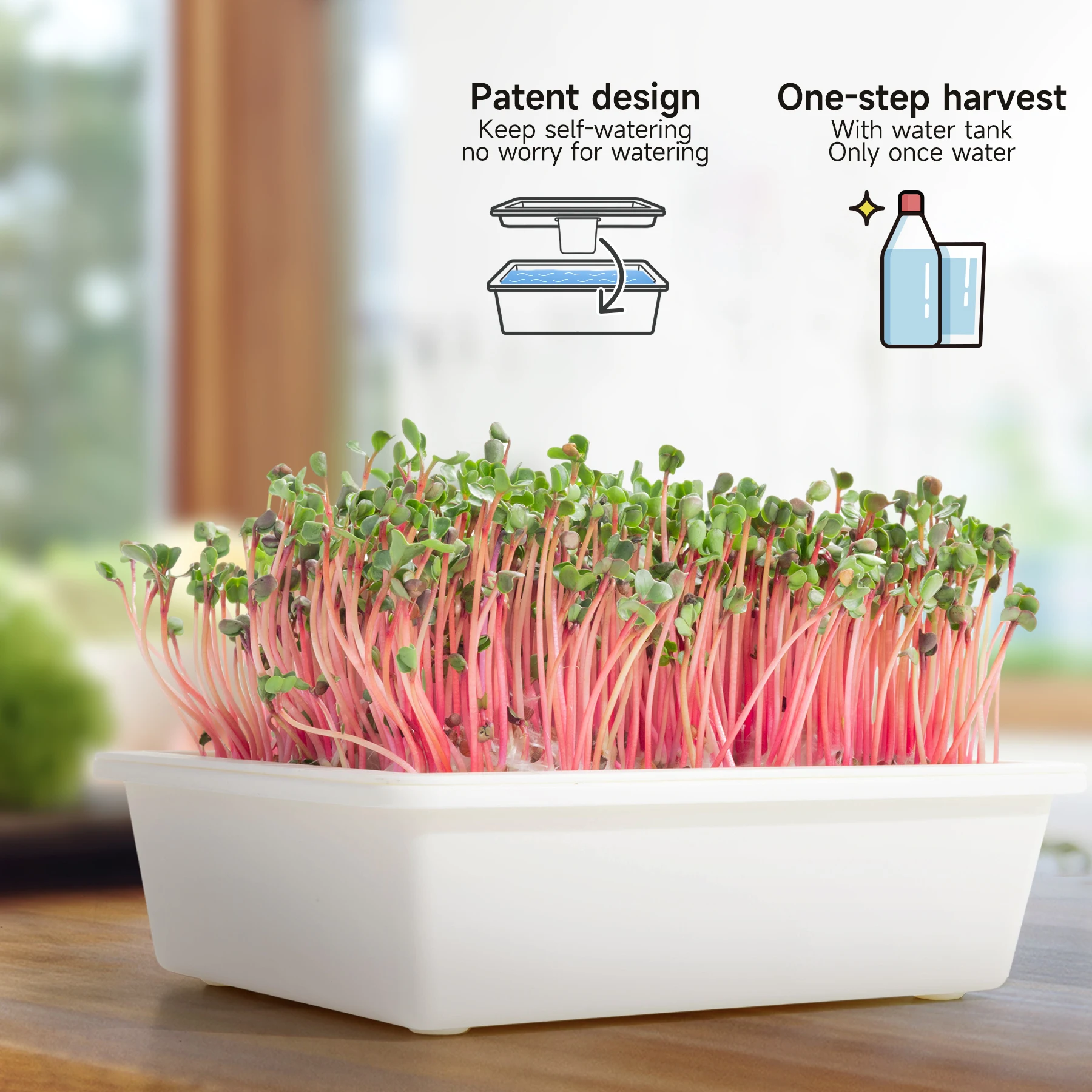 J&C Home Using Bamboo Made Trays Germinate Seed Easy Start Germination Tray Microgreens Harvest in 7 Days Grass Trays