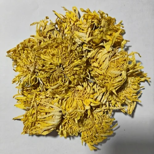 New Arrival Jin Si Huang Ju Herb Tea High Quality Organic Blended Tea with Dried Golden Silk Chrysanthemum Flower