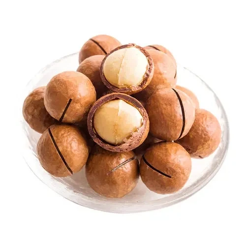 Cheap Wholesale And Raw organic chinese Macadamia nuts For Sale Tasty And Nutritional