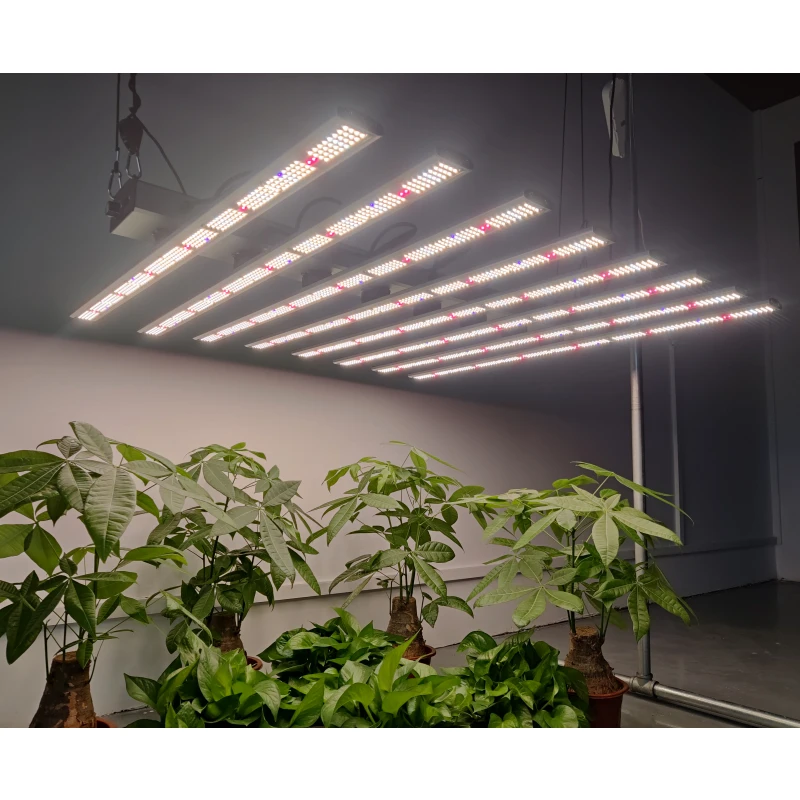 Высокая PPFD U V ИК комнатных растений Вег и цветок 800w 1000 Вт парниковых Регулируемый Spectrum Led Grow