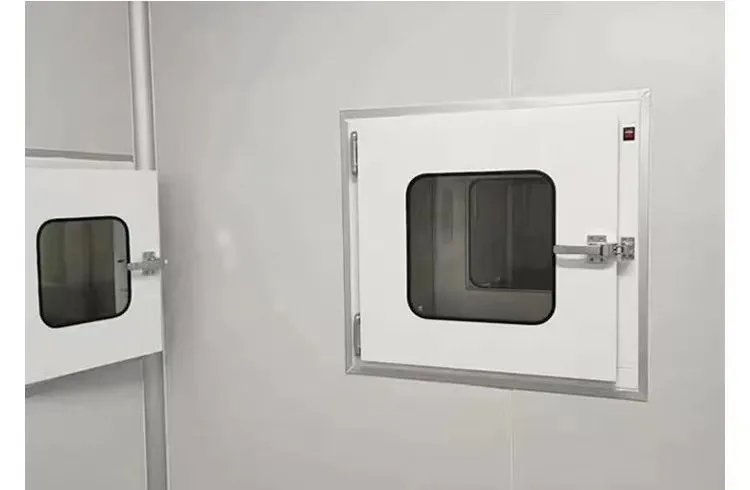 Custom Dimensions Cleanroom Transfer Window Multi Function Stainless Steel Pass box