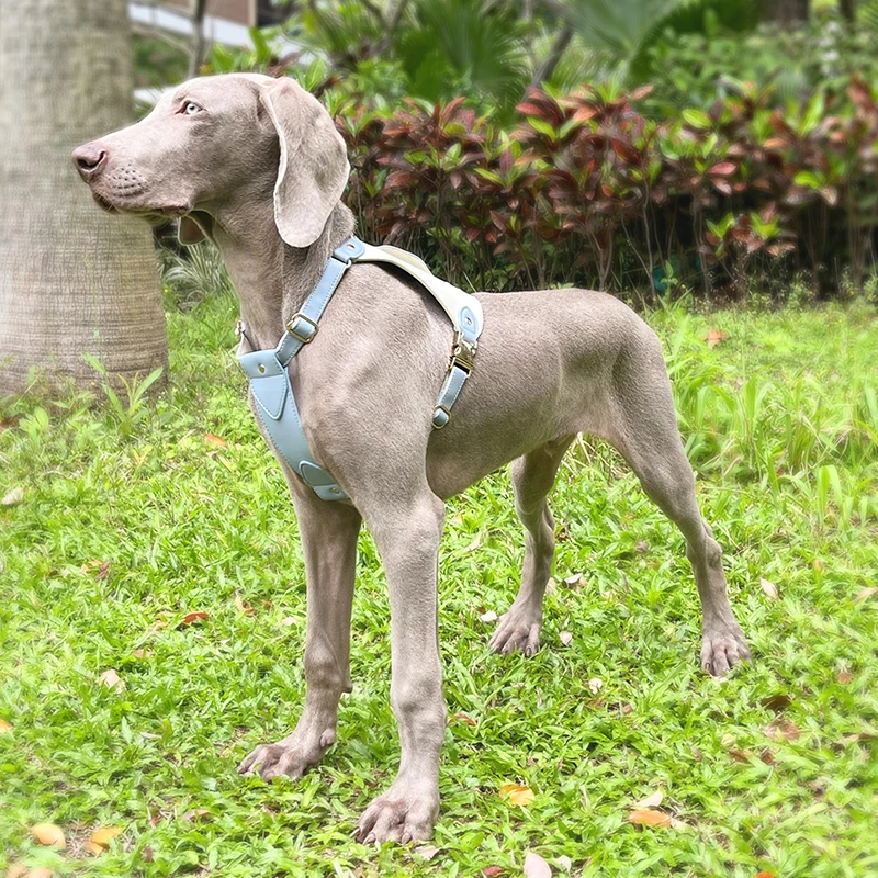 Soft Leather Dog Harness Leash Set Adjustable Wholesale Personalized Luxury Small Large Pet Leads Traction Walking Accessories