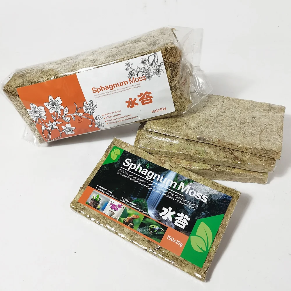 Potted Flowers And Succulent Cultivation Medium Sphagnum Moss Dried Sphagnum Peat Moss