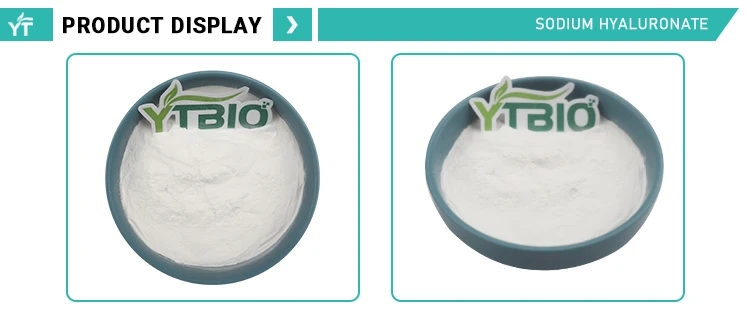 Sodium-hyaluronate_07.jpg