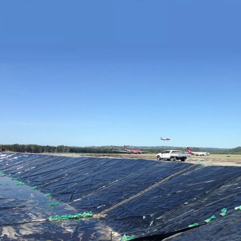 Factory price ASTM GM13 Reinforced Geomembrane Polyethylene 1mm 1.5mm 2.0mm HDPE Liner for Biogas Plant Project in Chile