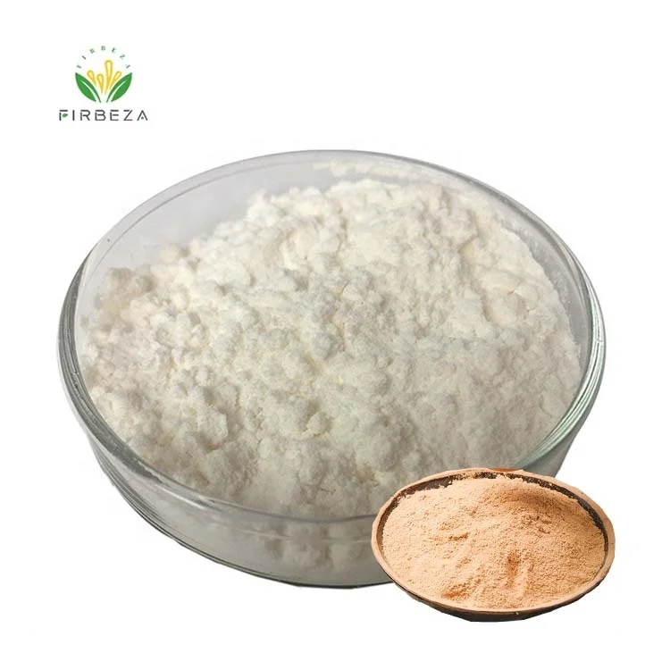 Wholesale Price High Purity Natural Organic Rice Bran Husk Extract Gamma Oryzanol Powder