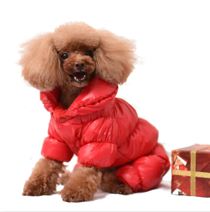 Amazon hot selling Manufactures Designer Custom Cartoon Letter Printing Hoodies Dog Coats Jackets Cloth Winter Pet