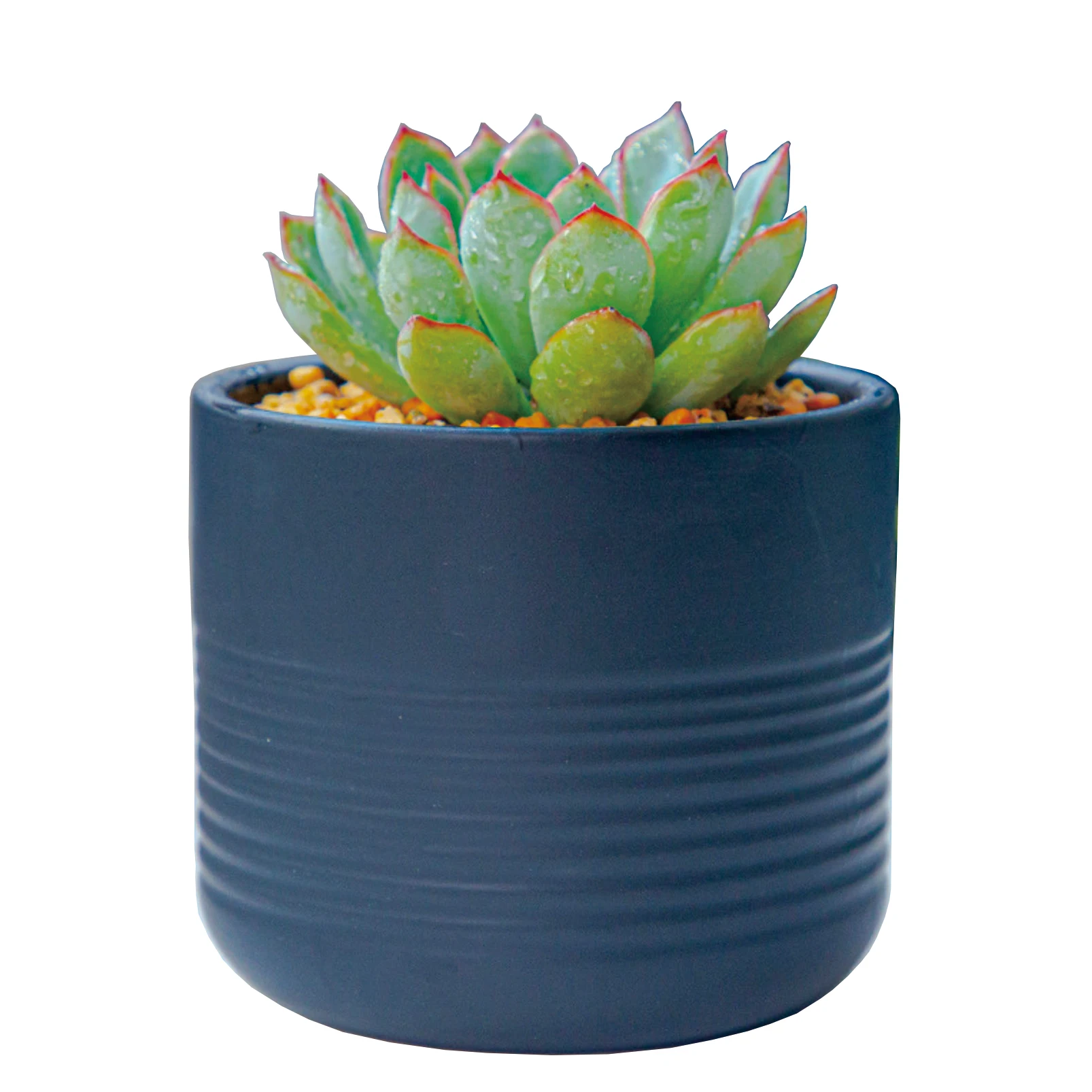 Настольная лампа в поперечную полоску дизайн керамический цветочный горшок для суккулентов