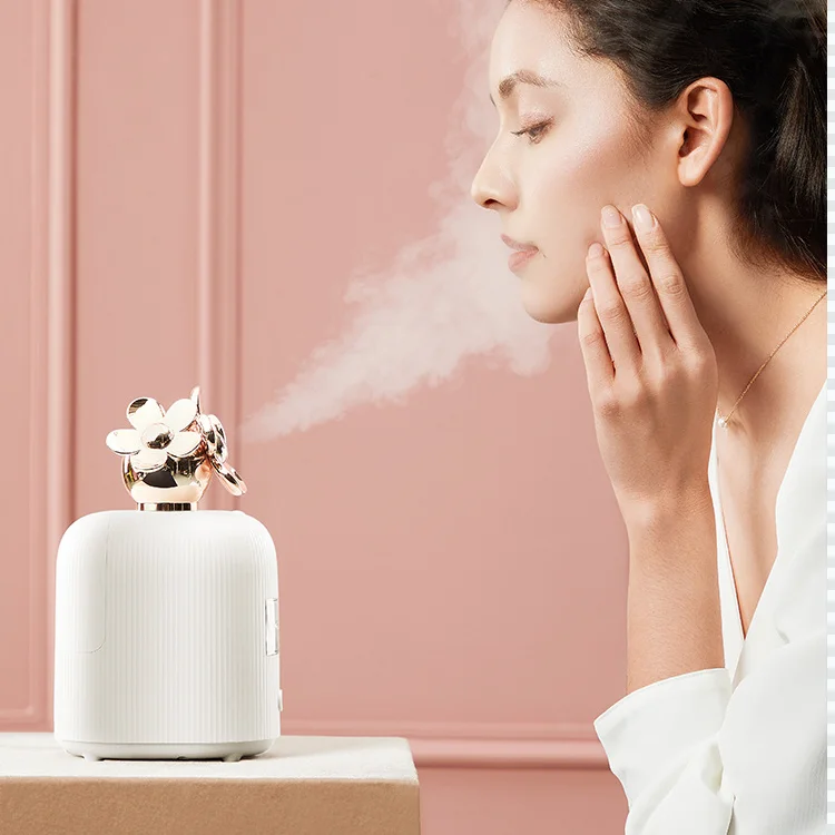 
domestic nano spray water replenishing instrument steam face detector Facial Steamer mini cosmetic nano facial mist sprayer 