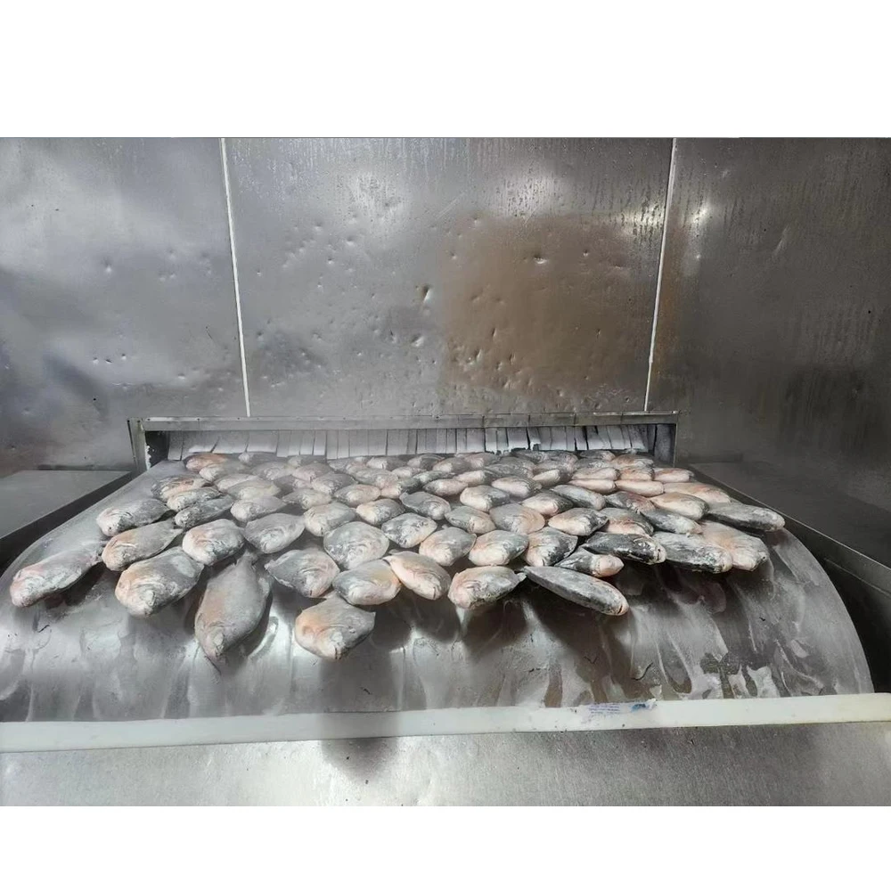 Frozen red pacu fish frozen red pompano fish frozen red pacu pomfret fish price