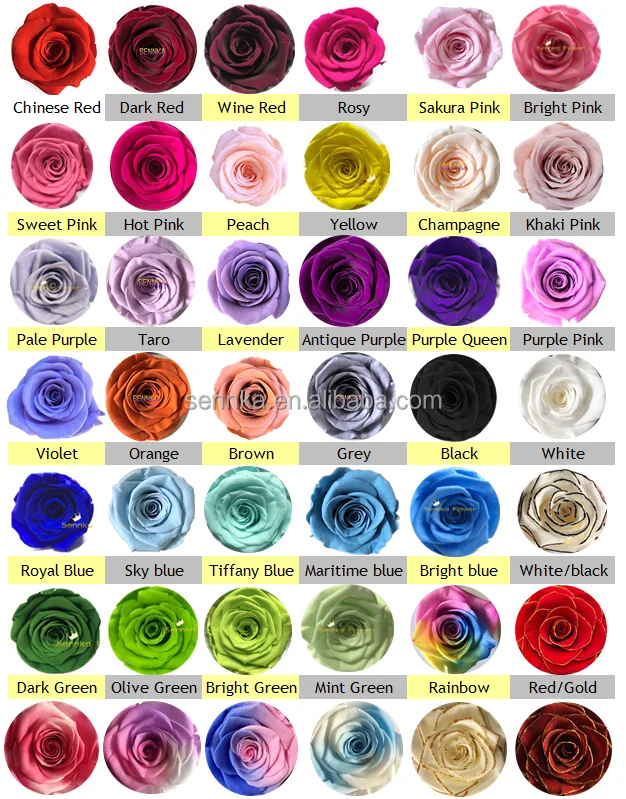 2021 Preserved Fresh Rose Box For Christmas