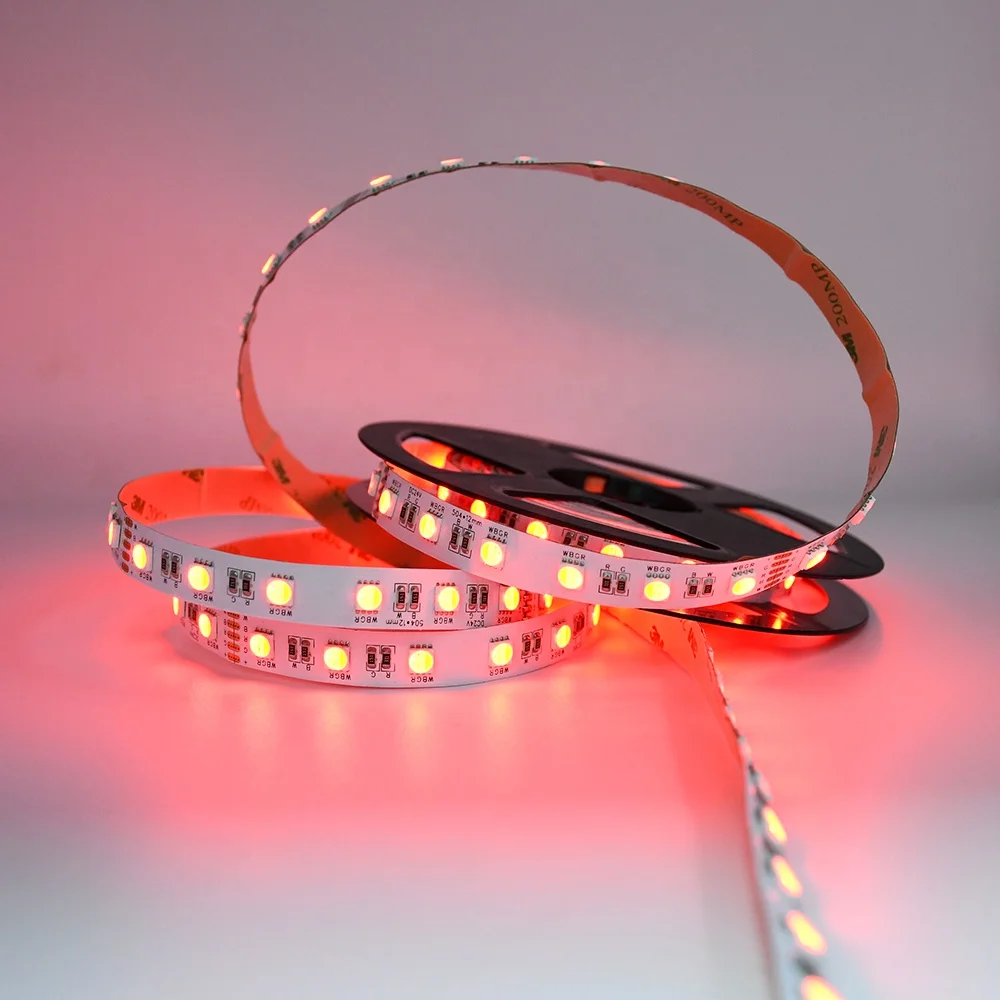 
2020 24V Strip Light RGBW wholesale Led Strip Light 10000K Led Strip 5050 