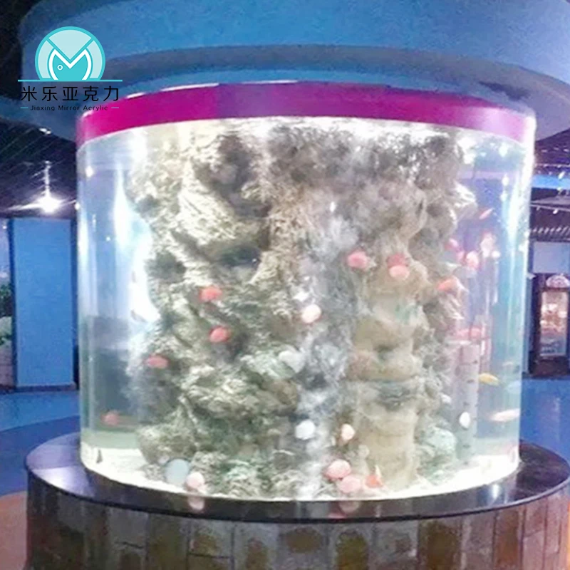 Wholesale cheap custom hot sale modern big aquarium toilet fighter fish aquarium tank