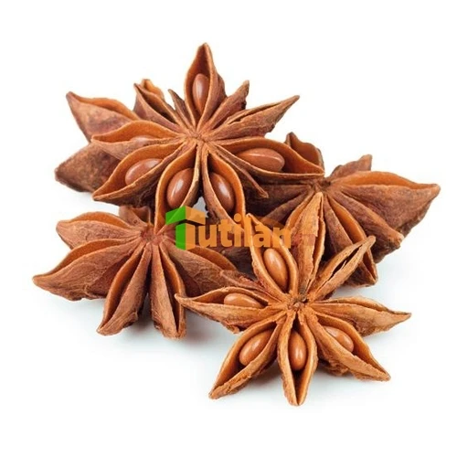 Оптовая продажа с завода, самая низкая цена и лучшее качество, специи и приправы, Звездный анис, Вьетнам