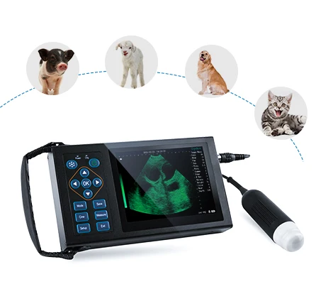 M10  Handheld Test Uterine Disease Pregnancy Scanner Machine Portable Ultrasound Veterinary