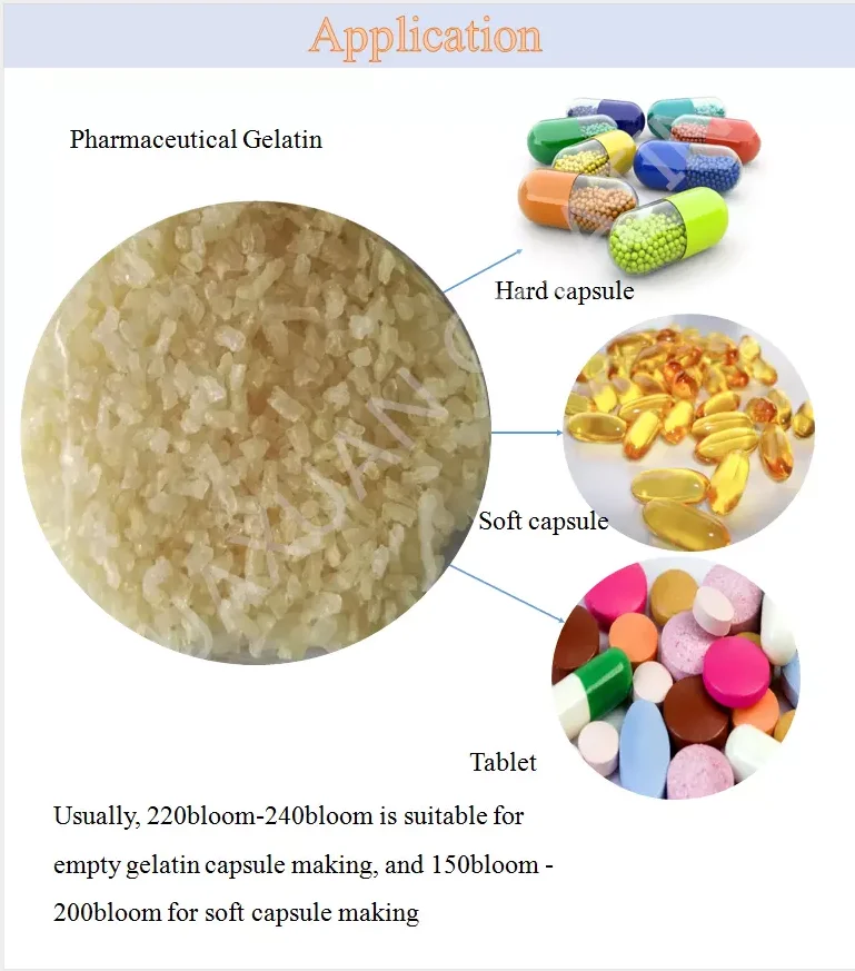Gelatin Gel Capsule Absorbable Hemostatic Gelatin Sponge