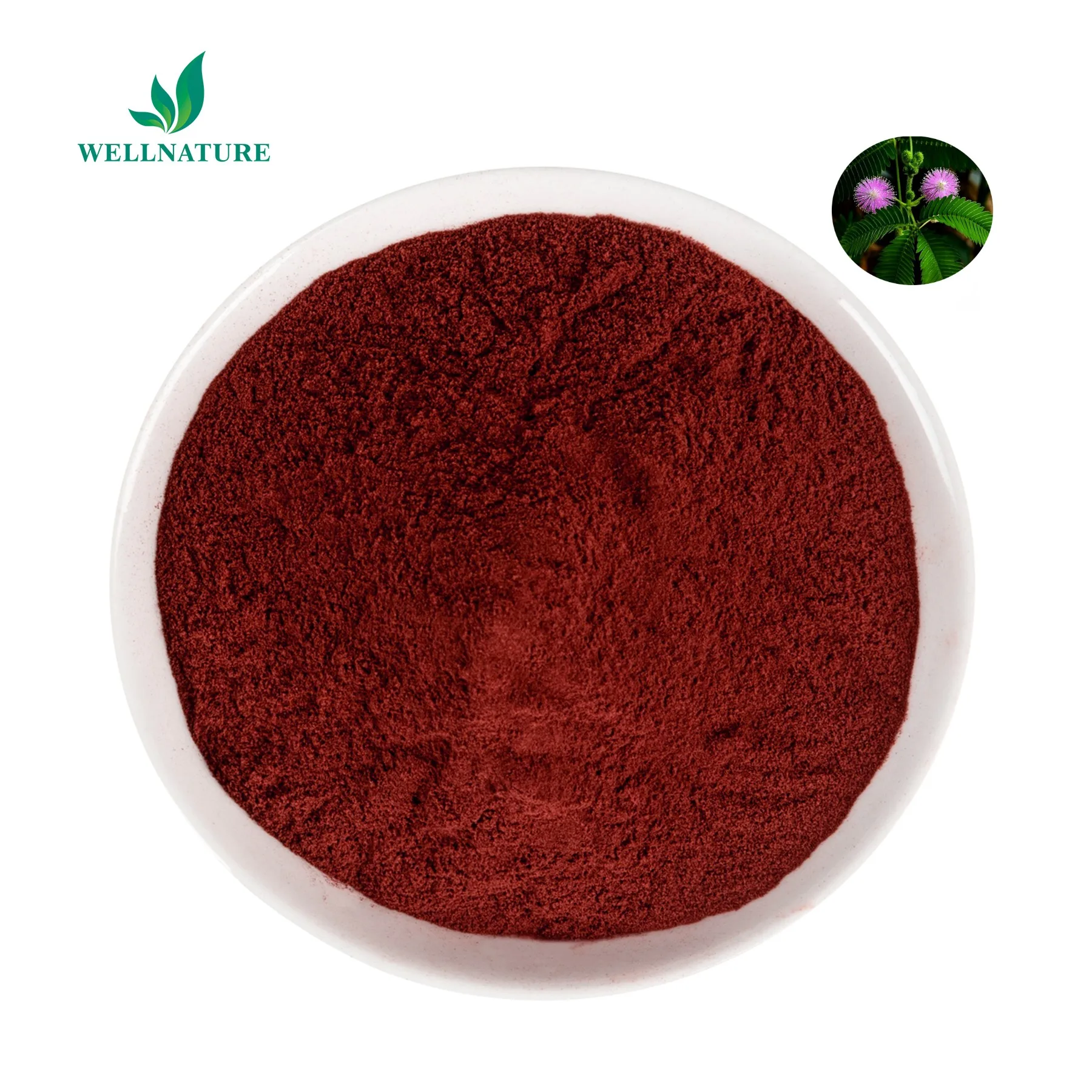 Mimosa Root Bark Extract Powder 10:1 Mimosa Bark Extract Mimosa Extract