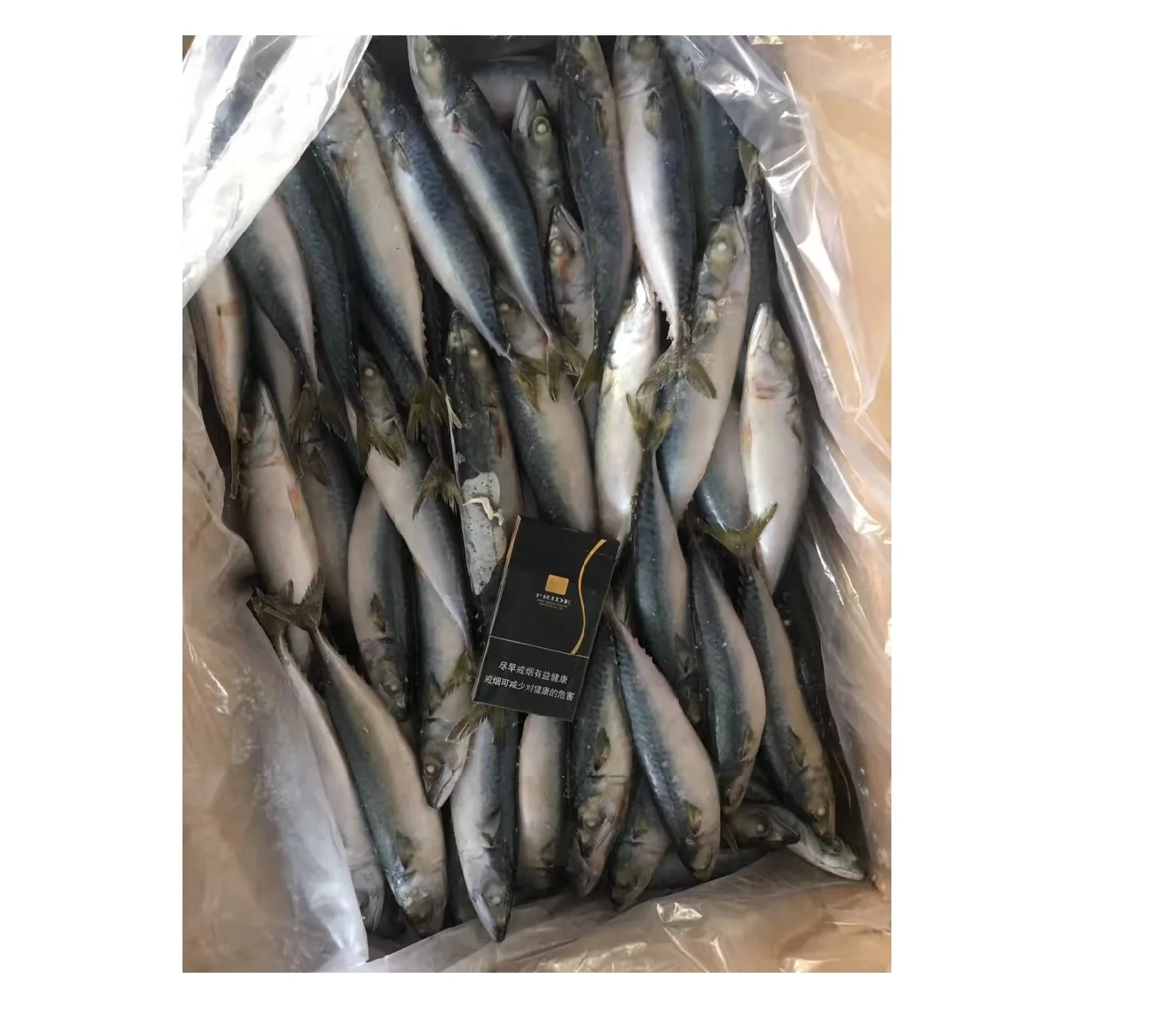 
best iqf mackerel spain mackerel W/R in Good Shape chinese direct mackerel bati fish 