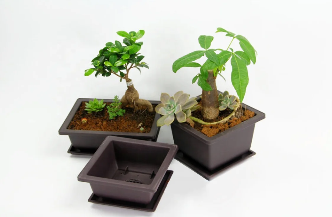12.1*12.1*5.8cm 350ml square bonsai flower pots succulent planter flower pot plastic purple clay pot