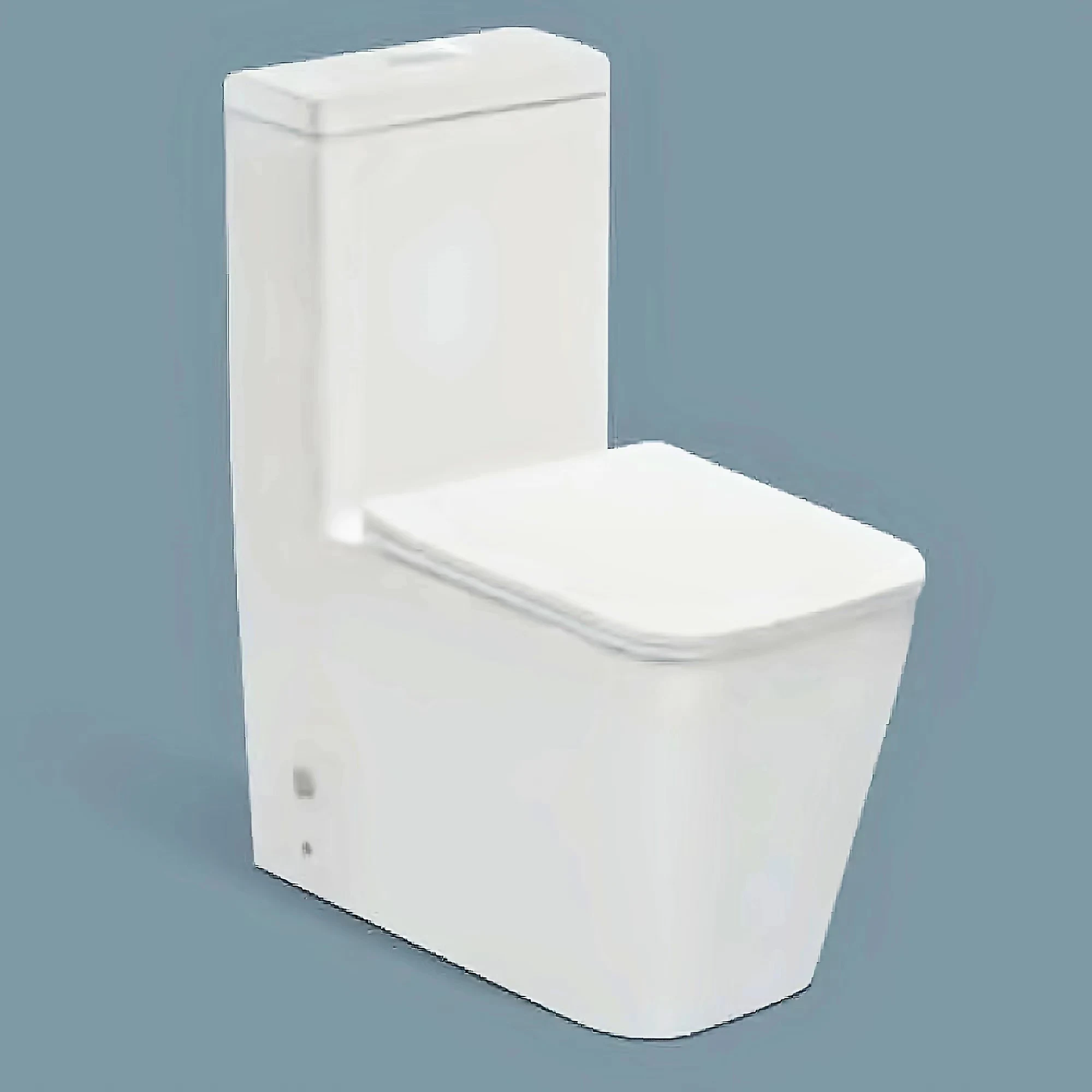 Luxury Floor Mounted Ceramic Sanitary Ware Water Closet Bathroom Wc Toilet Color One Piece Toilet Bowl