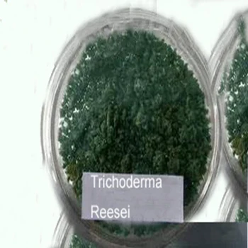 Trichoderma reesei 5 billion CFU/g for agriculture