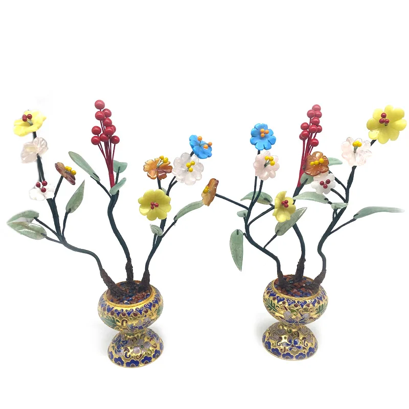 wholesale jade plant big size  jade grape tree