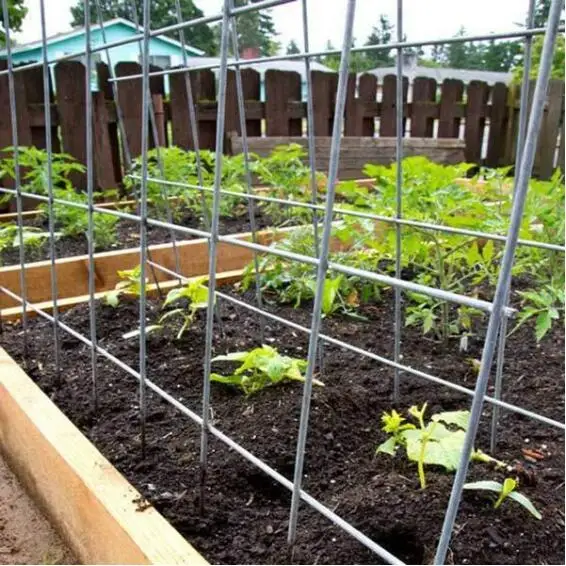Garden Trellis Cucumber Trellis