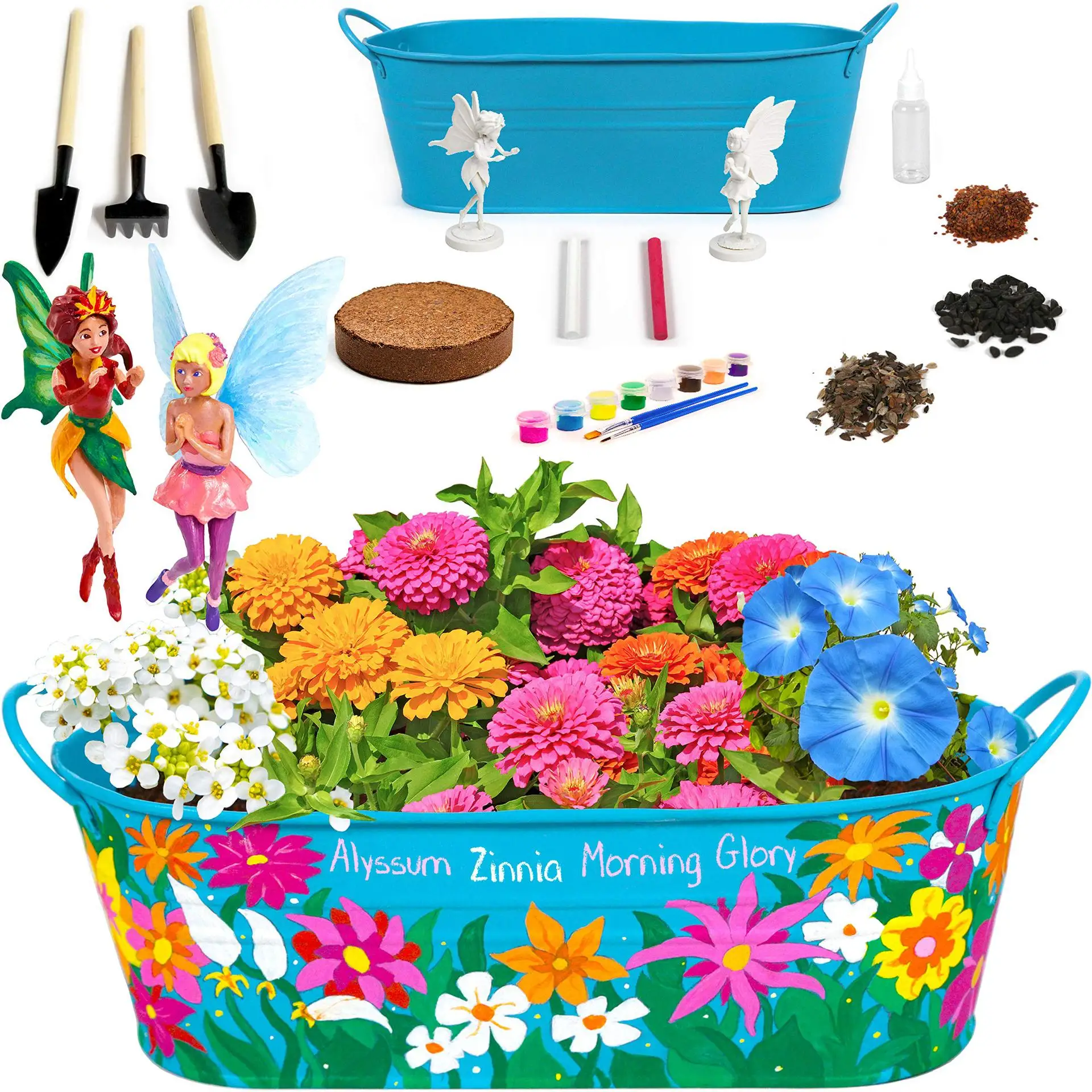 Fairy Garden Bonsai Starter Kit  Little Planters Paint & Plant Flowers with Real Flowers and  Magical Fairies
