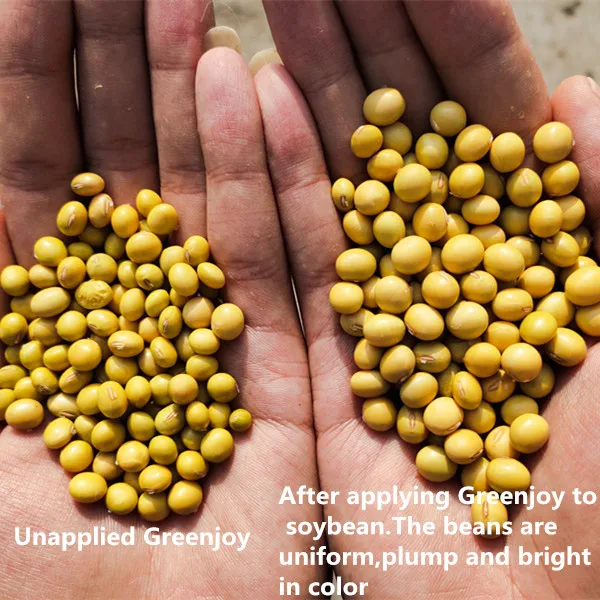 Green Joy spraying organic potassium fertilizer on the leaves of high-quality quick-release agricultural humic acid