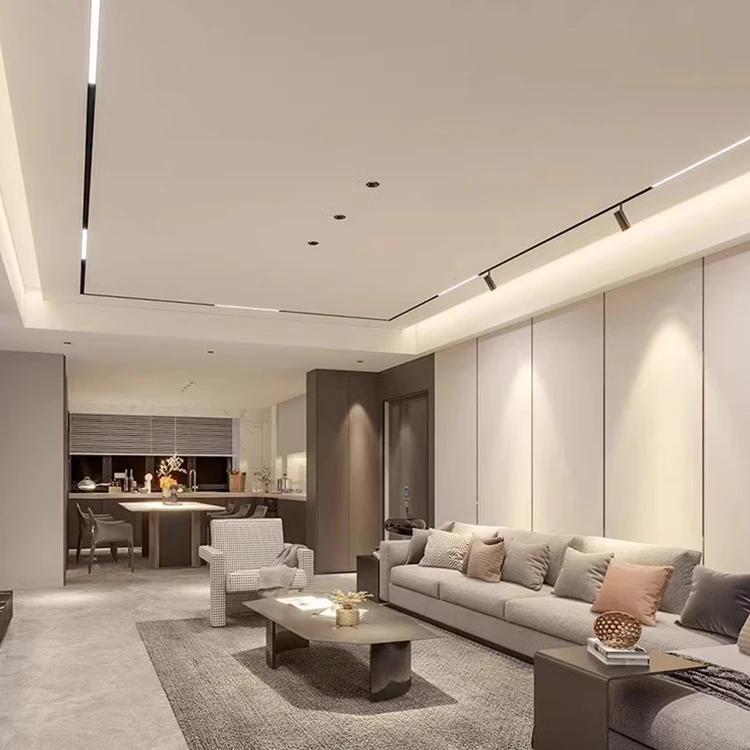 Ushine High Brightness Indoor Store Office Home Surface Mounted Aluminum COB LED Magnetic Track Light