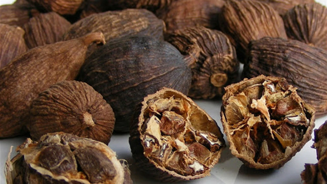 DRY BLDRIED BLACK VIETNAM CARDAMOM with the High Quality Best Price Spices & Herbs Products - What.sapp 0084 989 322 607