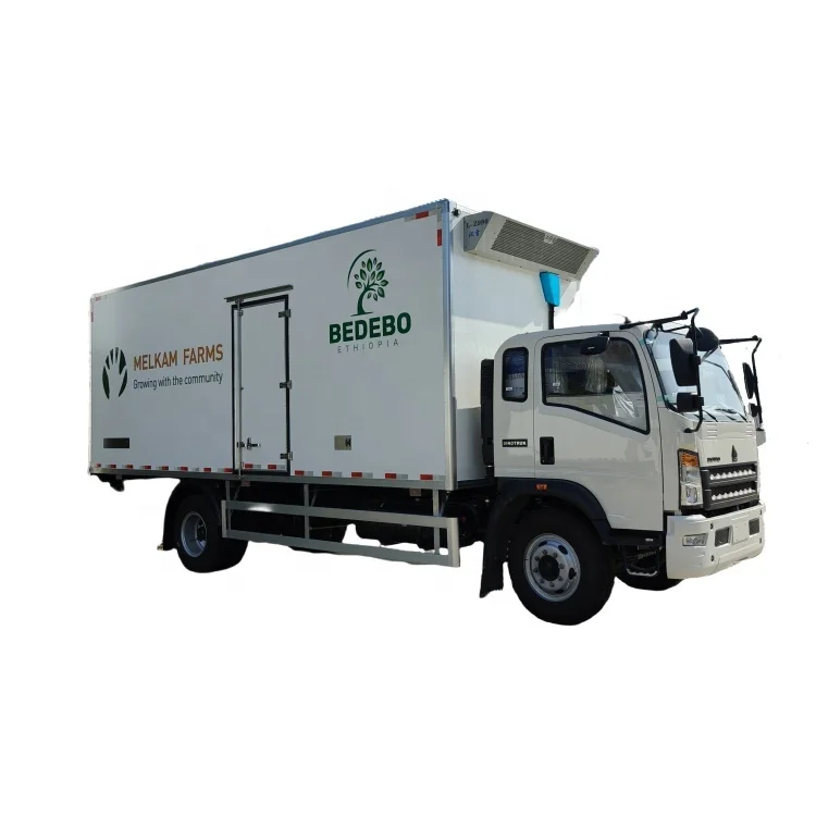 HOWO 5100MM 26CBM Refrigerator Truck Reefer Truck Chill Car for Fresh meat and Vegetable