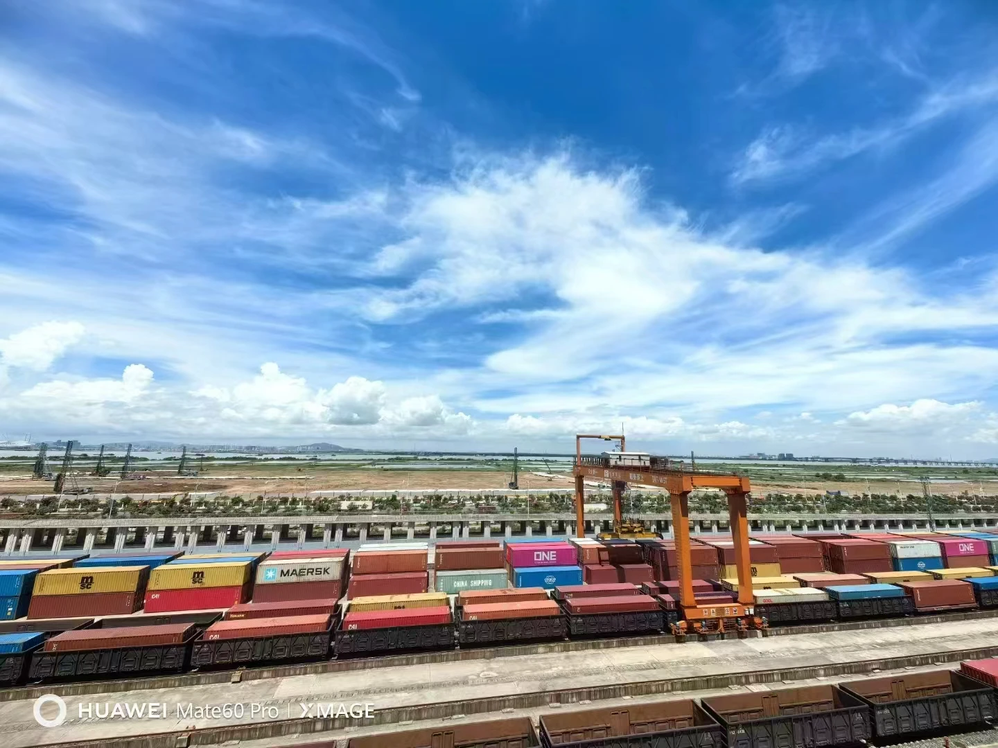 Sea Shipping China To India Ddp Sea Freight China Usa Canada Australia Sea Freight China To Saudi Arabia