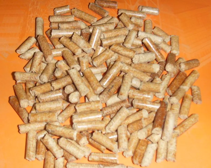 
Camel Farm Feed 