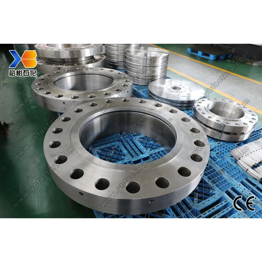 ISO Certificate F12 CL2 Pipe Fittings Large Diameter Customized Precision Forged Plate Flange