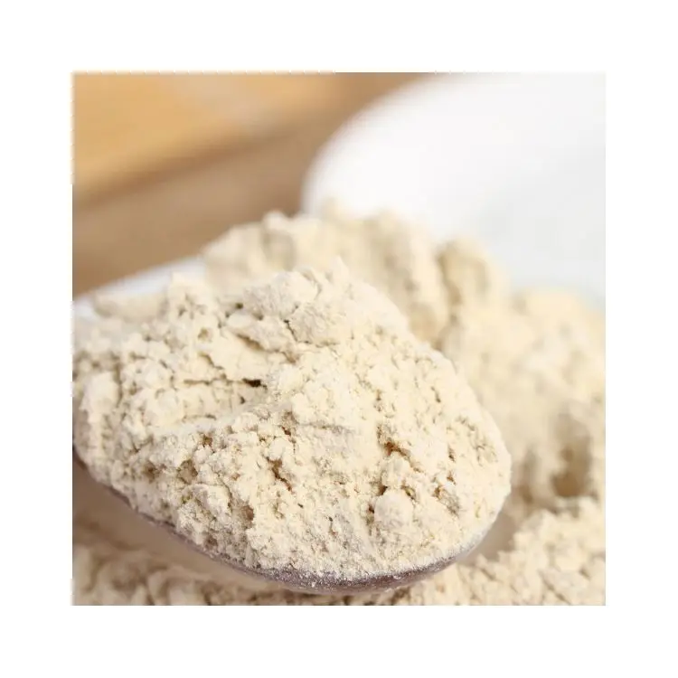 Hot Sale Spice Garlic Powder Bulk Garlic Powder And Chilli Paste