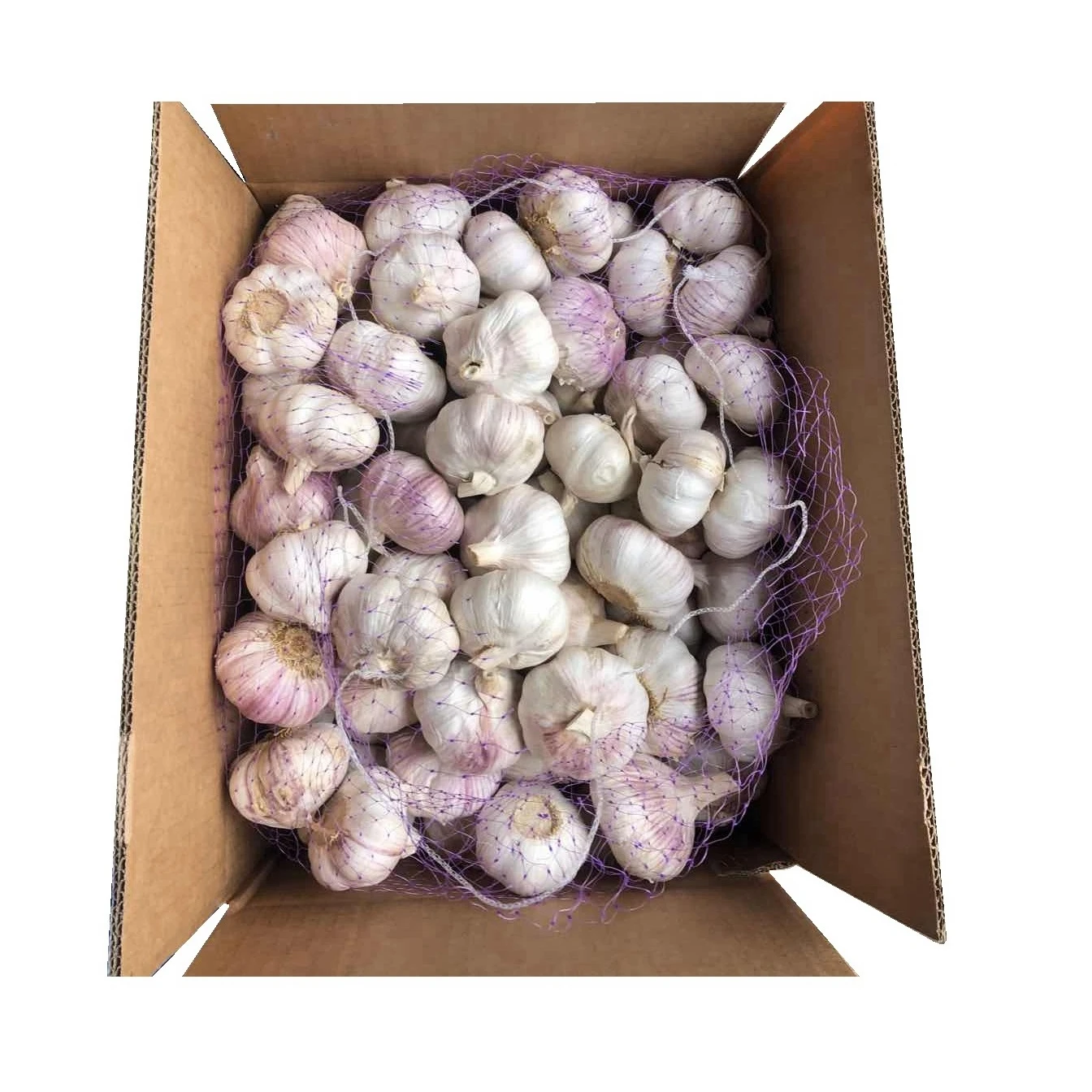 Alho Fresco 10kg Box Packing Fresh China 2023 Crop Garlic Price