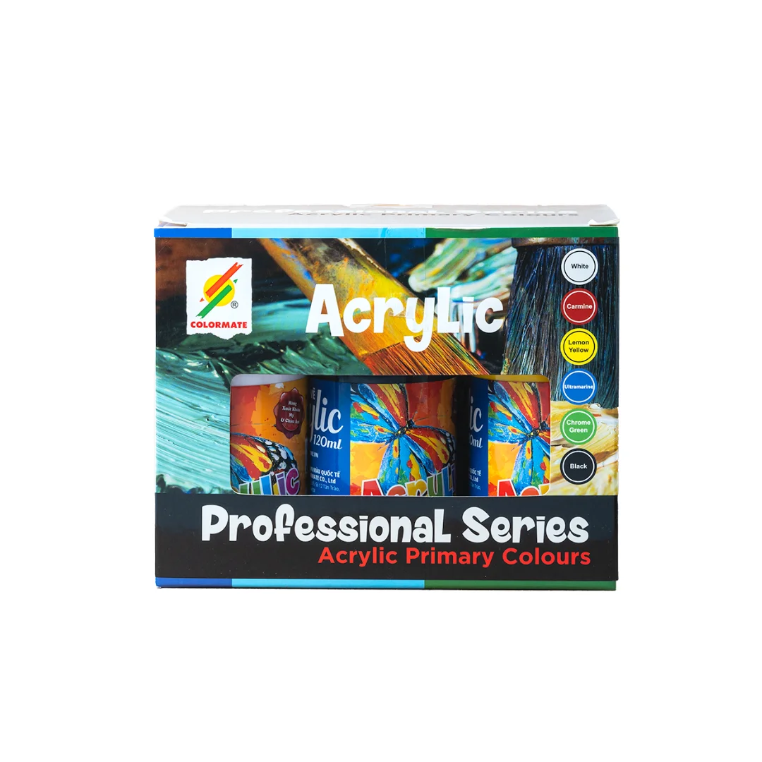Customized 120ml Plastic Bottle Packaging Art Paint Set for DIY Painting on Canvas Glass Paper Featuring Acrylic Paint