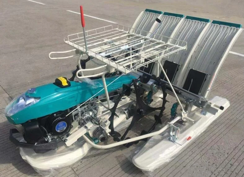 6 Rows Handpush Rice Planter Walk Behind Rice Planting Machine Walking Paddy Transplanter