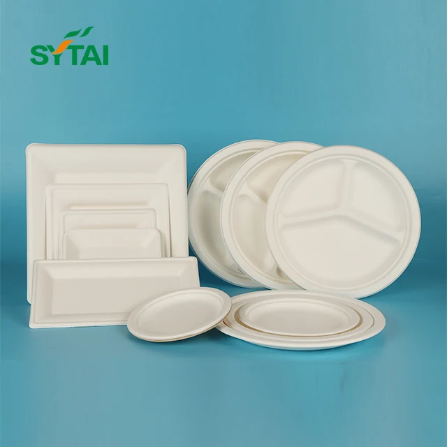 Disposable sugarcane bagasse plates for wedding birthday party package food fruit dish trays