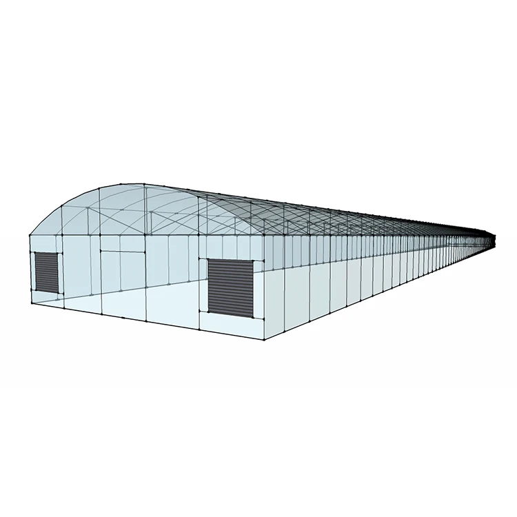 MYXL Low Cost High Economy Efficiency Greenhouses Single-span Greenhouse China Manufacturer