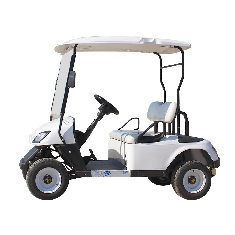 Cheap Farm Utility Lead-acid 2 seater Cargo Golf Cart Mini Electric Golf Carts