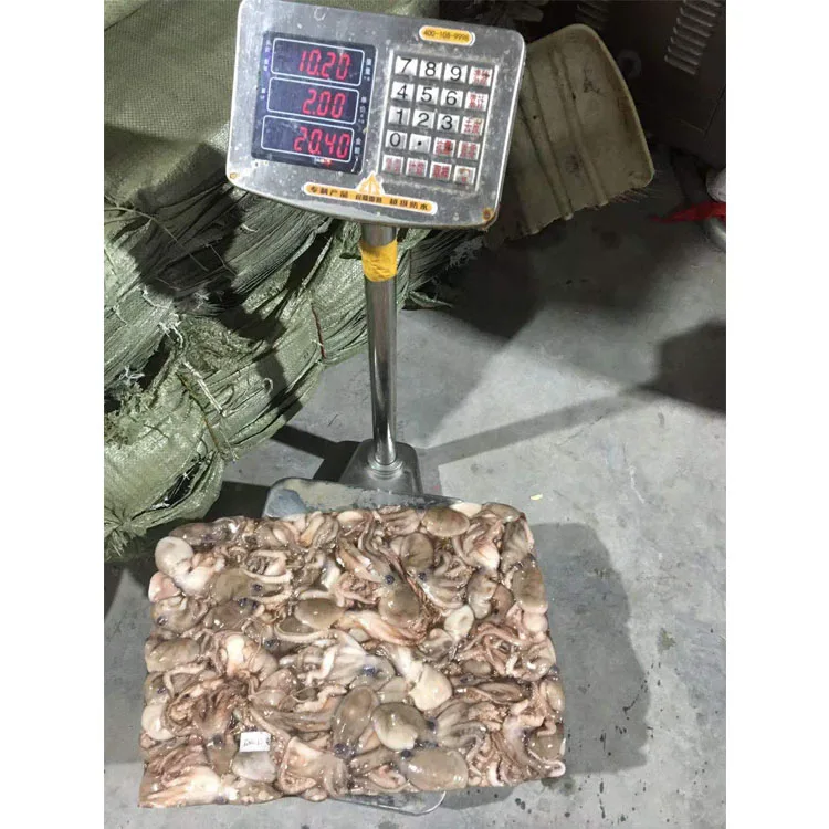 Delicious Competitive Price Whole Size Frozen Octopus